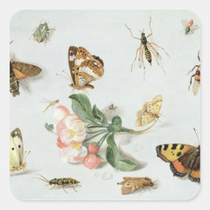 Butterflies, moden en andere insecten vierkante sticker
