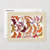 Butterflies Moths  Briefkaart | Insecten (Voorkant / Achterkant)