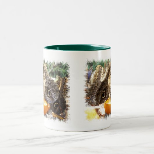 BUTTERFLIES MUG CAFÉ bicolore (Centre)