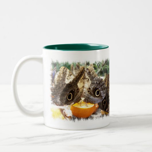 BUTTERFLIES MUG CAFÉ bicolore (Gauche)