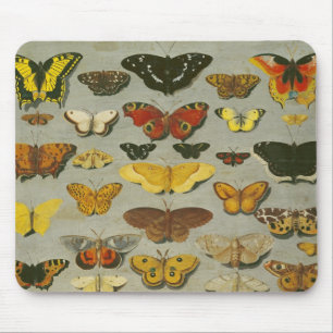 Butterflies Muismat
