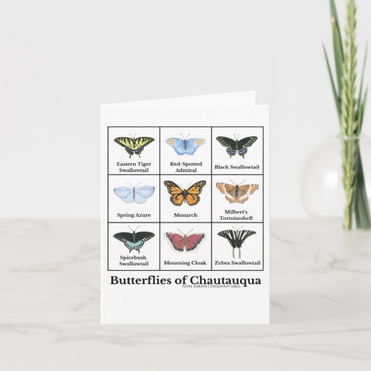 Butterflies of Chautauqua Kaart (Voorkant)
