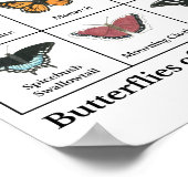 Butterflies of Chautauqua Poster (Hoek)