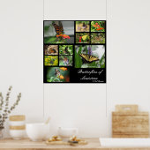 Butterflies of Louisiana Poster (Keuken)