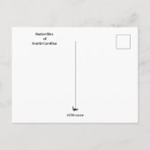 Butterflies of South Carolina Briefkaart (Achterkant)