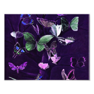 Butterflies op Paars Foto Afdruk
