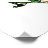  Butterflies Poster (Hoek)