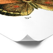 Butterflies Poster (Hoek)