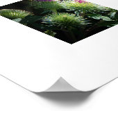 Butterflies Poster (Hoek)