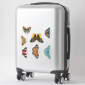 Butterflies Sticker Set (Koffer)