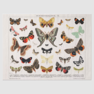  Butterflies Tissue of Decoupage paper Tissuepapier