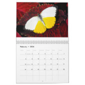Butterflies van de World 2020-kalender Kalender (Feb 2026)