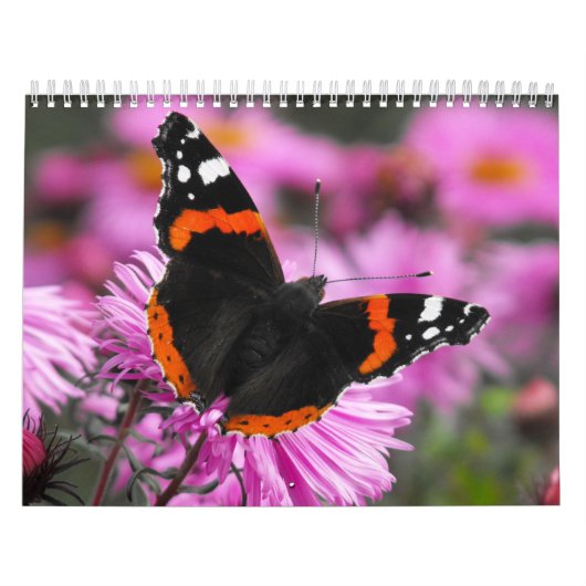 Butterflies van de World 2020-kalender Kalender (Hoes)