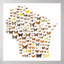 Butterflies van Wisconsin