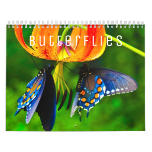Butterflies Wall Agenda Kalender