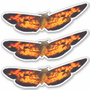 Butterflies XL 14" x 14" Custom-Cut Vinyl Stickers