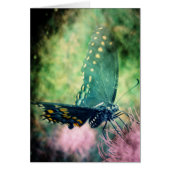 Butterfly (Voorkant)