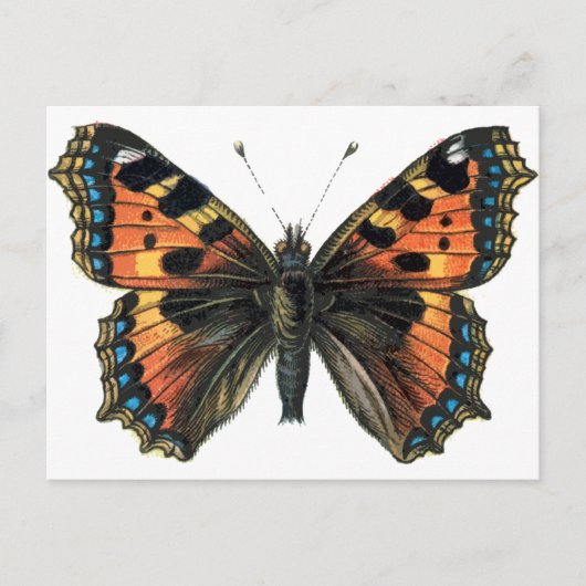Butterfly 01 briefkaart (Voorkant)
