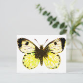 Butterfly 02 briefkaart (Staand voorkant)