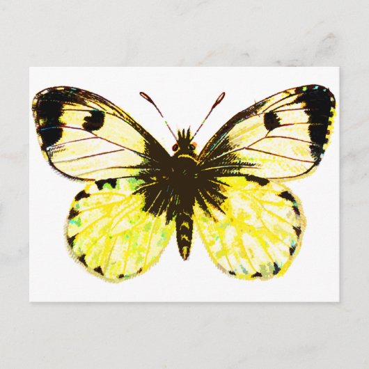 Butterfly 02 briefkaart (Voorkant)