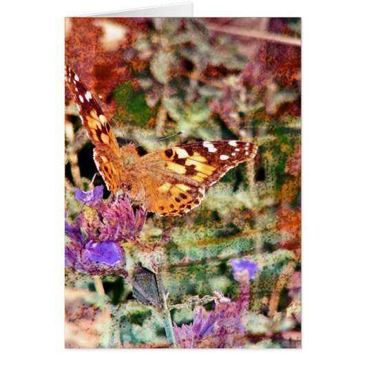 Butterfly 2 (Voorkant)