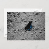 Butterfly 2 Briefkaart (Voorkant / Achterkant)