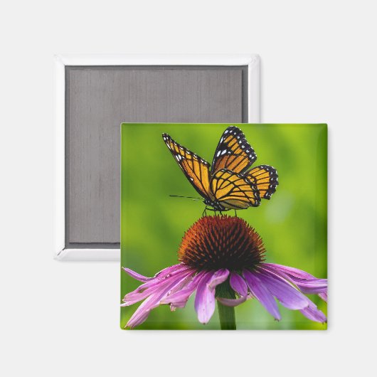 Butterfly 2"-magneet magneet (Voorkant / Achterkant)