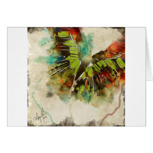 Butterfly 3
