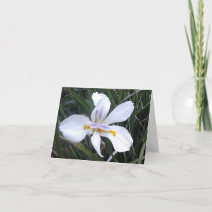 Butterfly African Iris Photo Folded Note Kaart