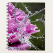 Butterfly Agenda (Voorkant)
