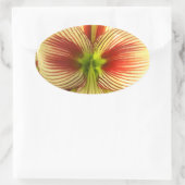 Butterfly Amaryllis Ovale Sticker (Tas)