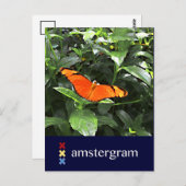 Butterfly Amsterdam Briefkaart (Voorkant / Achterkant)