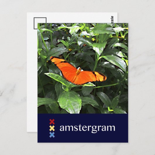 Butterfly Amsterdam Briefkaart (Voorkant / Achterkant)