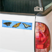 Butterfly assortiment Bumpersticker (Op Truck)