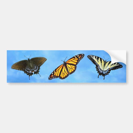 Butterfly assortiment Bumpersticker (Voorkant)