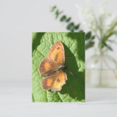 Butterfly Briefkaart (Staand voorkant)