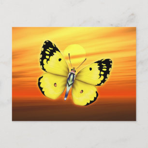 Butterfly Briefkaart