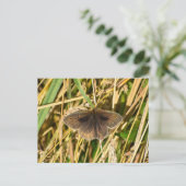 Butterfly Briefkaart (Staand voorkant)