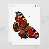 Butterfly Briefkaart (Voorkant / Achterkant)