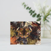 Butterfly Briefkaart (Staand voorkant)