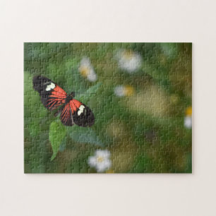 Butterfly Butterflies Natuur Fotografie Tuin Legpuzzel