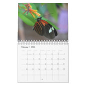 Butterfly Calendar Kalender (Feb 2026)