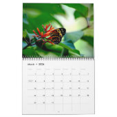 Butterfly Calendar Kalender (Mar 2026)