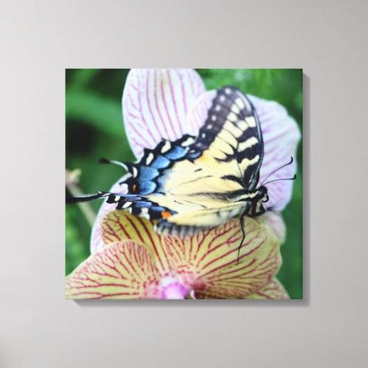 Butterfly Canvas Afdruk (Voorkant)