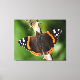 Butterfly Canvas Afdruk