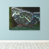 Butterfly Canvas Afdruk (Insitu (Houten vloer))