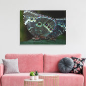 Butterfly Canvas Afdruk (Insitu (Woonkamer))