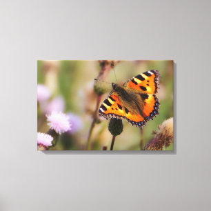 Butterfly Canvas Afdruk