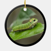 Butterfly Caterpijler Larva Keramisch Ornament (Achterkant)