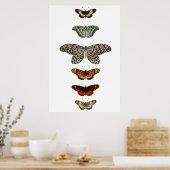 Butterfly Compilatie Poster (Keuken)